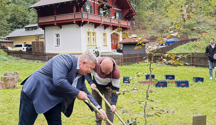 Odkaz zakladatele nápojové firmy a lázní Kyselka připomíná i pamětní strom.