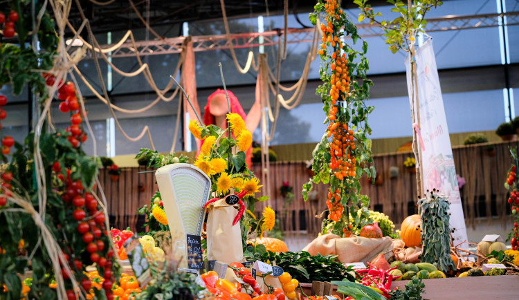 V Olomouci dnes začíná podzimní Flora. Víte, kde bez problémů zaparkovat?