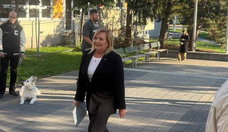 Po sečtení 15 procent okrsků v Karlovarském kraji vedlo hnutí ANO před Spolu a SPD