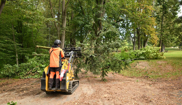 Havlíčkův Brod pokračuje s revitalizací parku Budoucnost, stromy musely jít k zemi