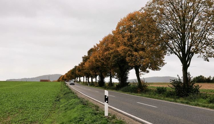 V týdnu se vystřídají oblačné dny se slunečnými. O víkendu bude v noci mráz