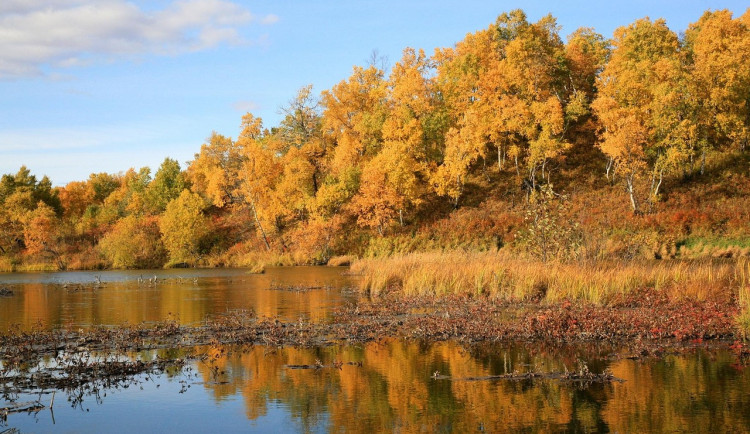 V týdnu se vystřídají oblačné dny se slunečnými, o víkendu bude v noci mráz