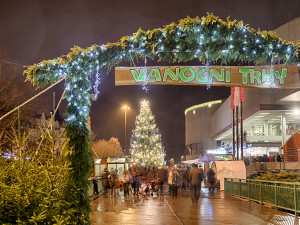 Karlovy Vary hledají vánoční strom. Ozdobou se může stát i jehličnan z vaší zahrady