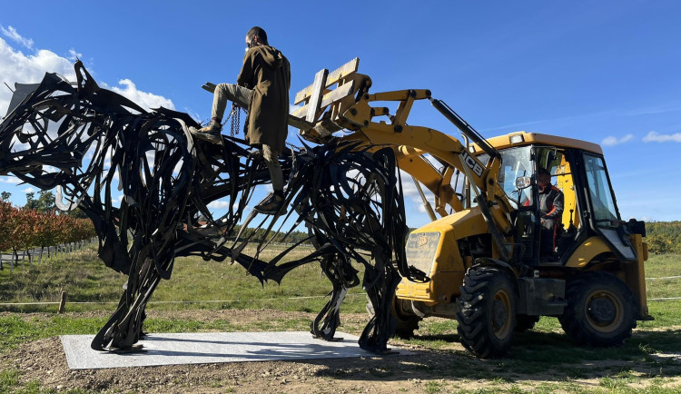 VIDEO: Plemenný býk Bohdan se stal celebritou. Na Běleckém Mlýně má už i svoji sochu