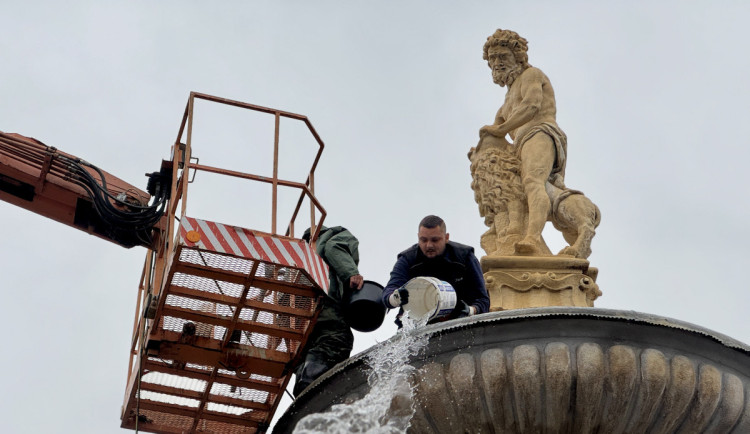 Samson je před zimou ve skvělé kondici, ohleduplní k němu byli letos i turisti