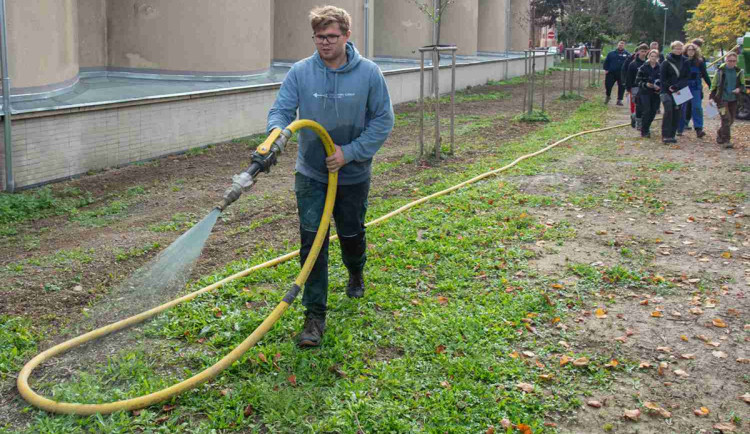 Moderní a účinná cesta k zeleni. FN Olomouc zkrášluje areál pomocí hydroosevu