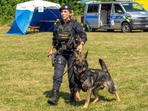 Seniorka byla v lese jen v noční košili a bez bot. Vypátral ji policejní pes