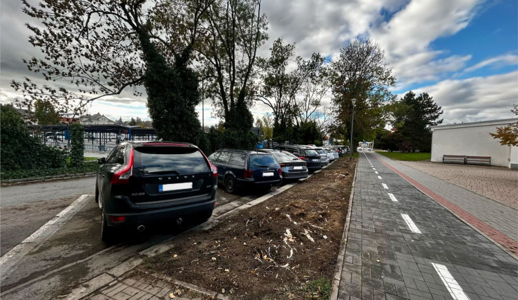 Poblíž autobusáku v Jihlavě zmizelo 10 jasanů. Příští rok je nahradí jinan a dřezovec