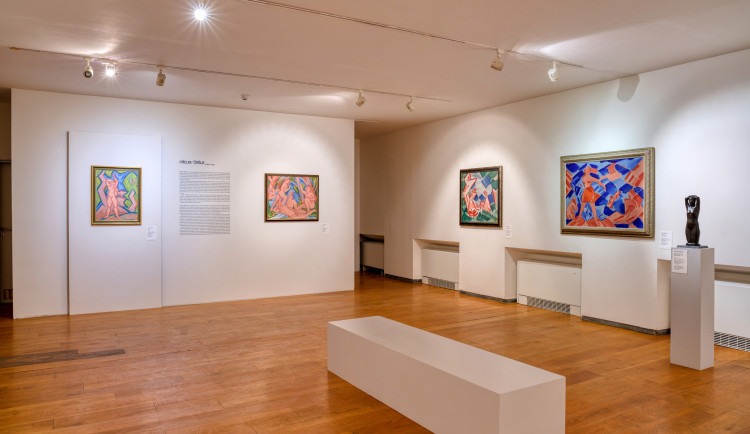 Vzácná sbírka českého kubismu ze ZČG je vystavena v Museu Kampa