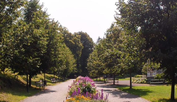Stromořadí v Jeseníku, Prostějově, na Olomoucku a na Rejvízu. Hlasujte pro letošní Alej roku