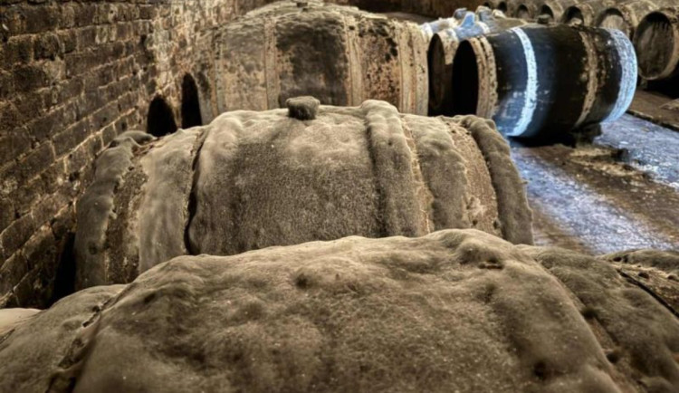 Plesnivé stěny i sudy. Potravináři zavřeli dva nevyužívané vinné sklepy v Mikulově