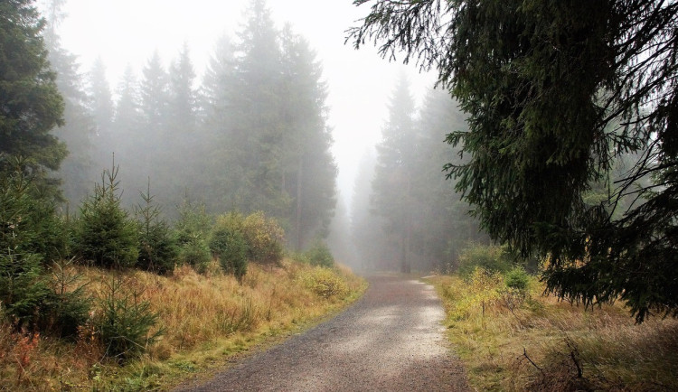 Mlhy, mrholení a slabý déšť. Špatného počasí se Olomoucký kraj jen tak nezbaví