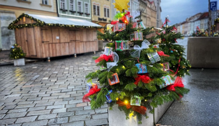 Jedle s ozdobami od dětí rozzářily centrum Hradce, hlasujte pro tu nej