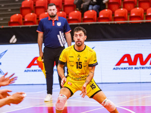 FOTO: Karlovarští volejbalisté mají nabitý program, přesto postoupili do finále