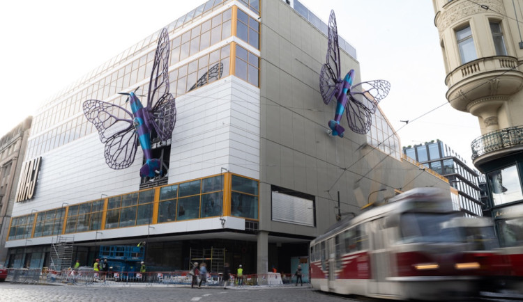 Motýli budou na Máji další dva roky, povolil to stavební úřad