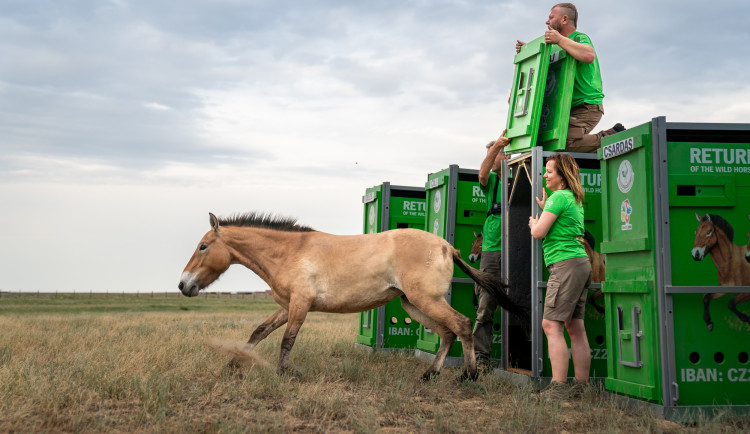 Návštěvnost pražské zoo roste. Zahrada má za sebou nejúspěšnější rok od pandemie
