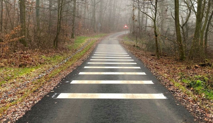 Město se pochlubilo vyasfaltováním lesních cest. Veřejnost to tvrdě odsoudila