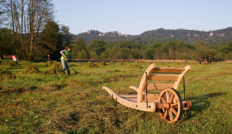 Nadace Ivana Dejmala z Liberce loni rozdělila mezi projekty rekordní částku