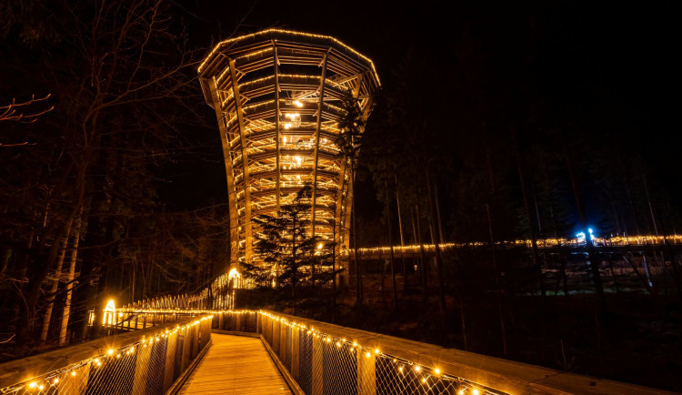 Stezka korunami stromů se rozsvítí ve velkém. Připravuje Světelné zimní hry