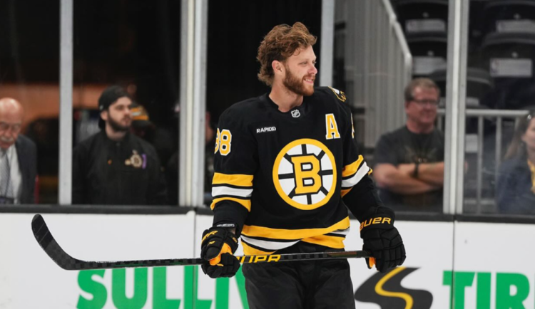 Nadějné hokejistky i borci z NHL. Kdo reprezentuje kraj na olympiádě?