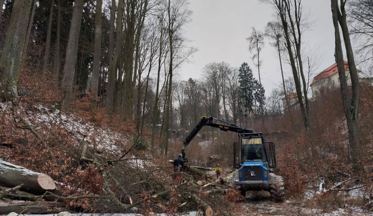 Kolem Valdštejna se kácí. Hlavní silnice k hradu je uzavřená