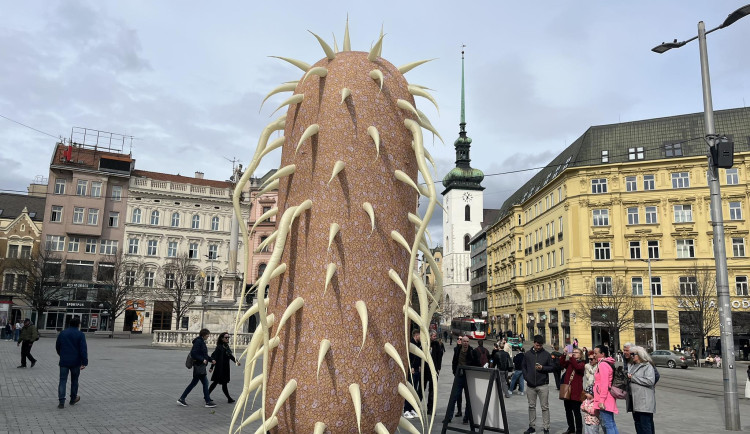 V Brně se usadí obří nafukovací bakterie. Láká na přednášky o mikroskopech
