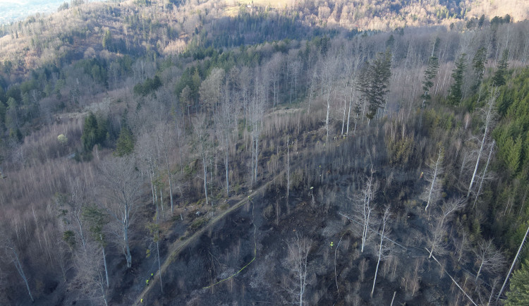 I malá nedbalost vede k živelné katastrofě, varují hasiči. Požárů v přírodě přibývá