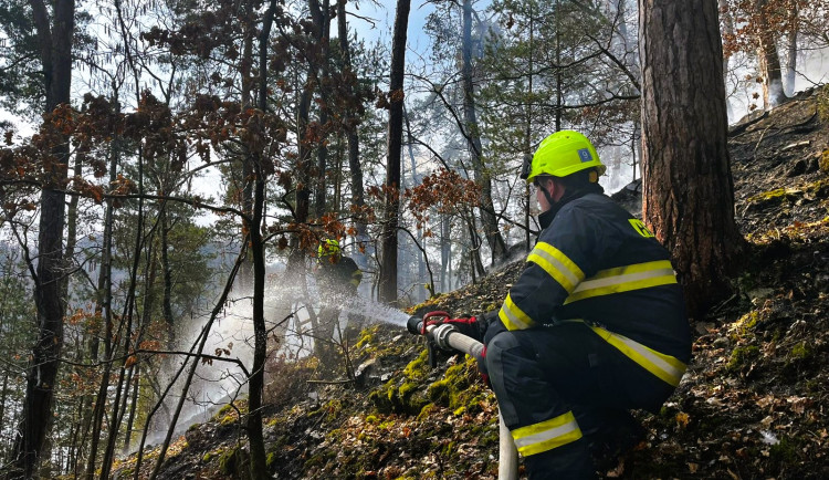 K lesnímu požáru přiváděla vodu 340 metrů dlouhá hadice. Podobných případů přibývá