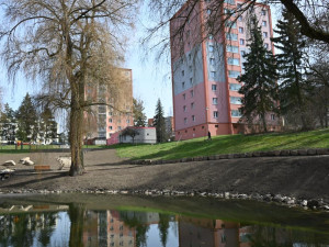 Drahovický rybníček v Karlových Varech se proměnil, otevře se v květnu