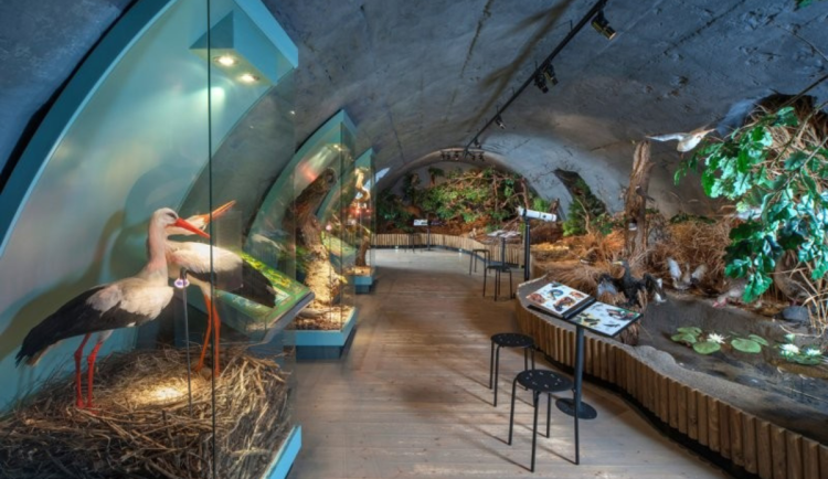 Dům přírody Třeboňska se přesune do historických bývalých jatek v Třeboni