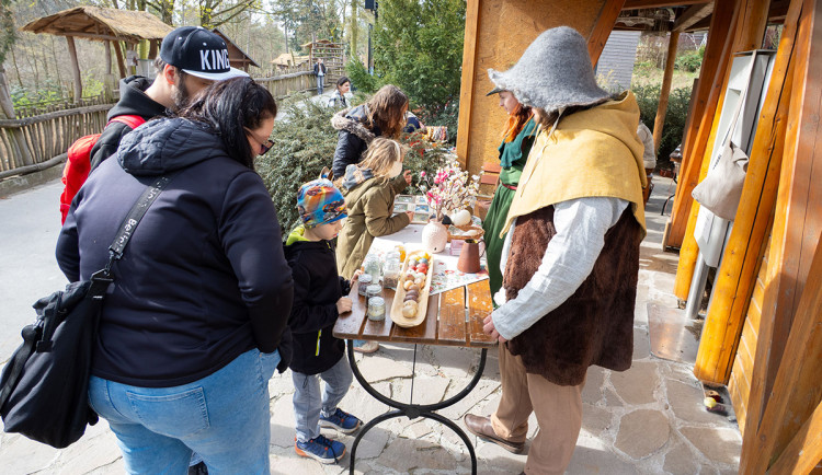 Zoo Olomouc přilákala o Velikonocích přes 15 tisíc lidí. Řeší se navýšení parkovacích kapacit