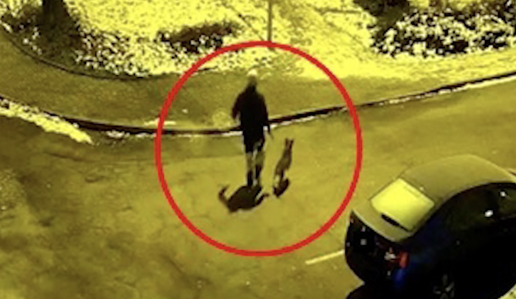 Policie pátrá po totožnosti svědka incidentu v Dalovicích