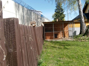 Zvířecí záchranku opakovaně vykradli. Pomoci teď může veřejnost ve sbírce