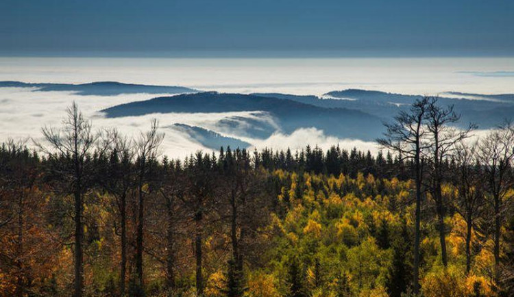 ilustrační foto.