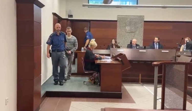 Za zavinění smrti ženy ve Višňové z loňského dubna potrestal soud v Liberci muže 11 lety vězení