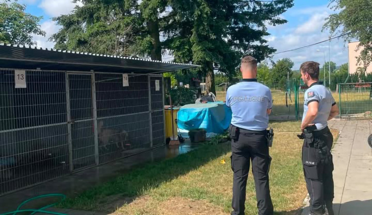 Šokující noční vpád do útulku: psi z Mohelnice skončili se zvracením a průjmy