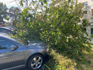 FOTO : Hasiče zaměstnal silný vítr, vyjížděli k desítkám případů