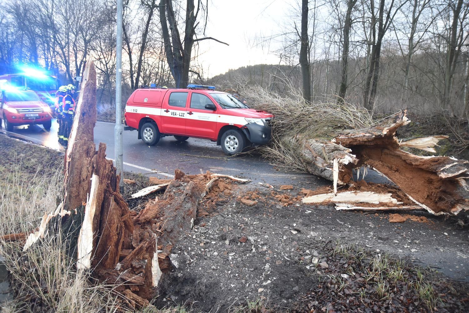 FOTOGALERIE: Následky vichřice