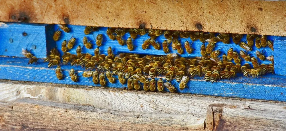 Ilustrační foto.