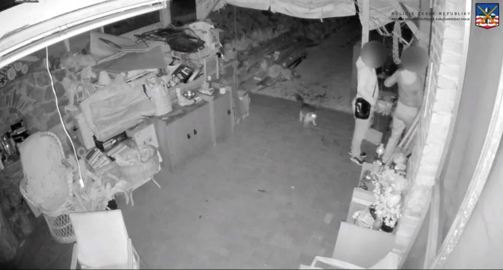VIDEO: Trojice žen vyrazila na lup, plány jim zhatila paní, co šla krmit kočky