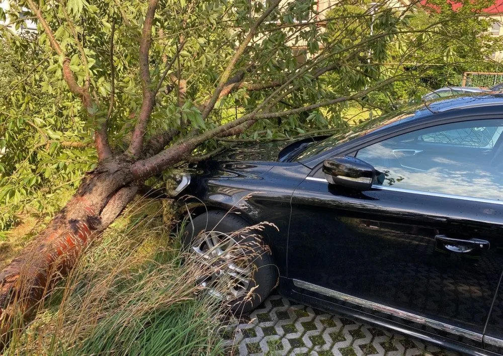 FOTO : Hasiče zaměstnal silný vítr, vyjížděli k desítkám případů