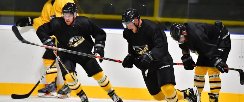 hc banik sokolov