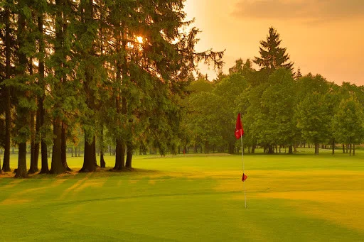 Golf si v Mariánských Lázních zahrál například Mark Twain, Thomas Alva Edison, Sigmund Freud, generál Patton nebo Franz Kafka