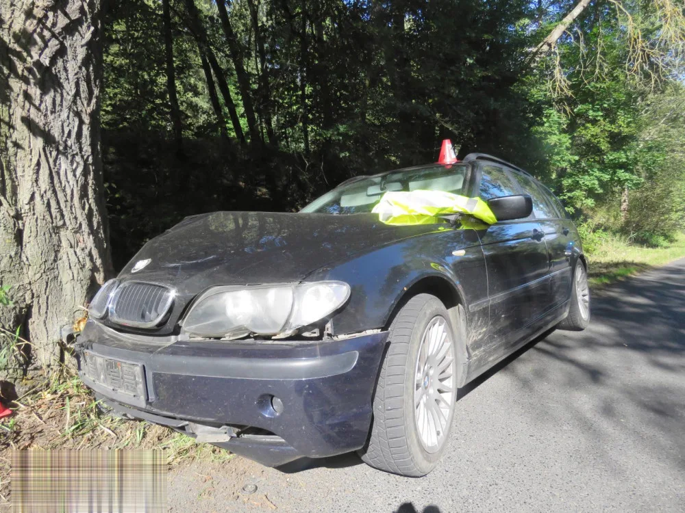 Mladá řidička nezvládla svůj vůz a narazila do stromu