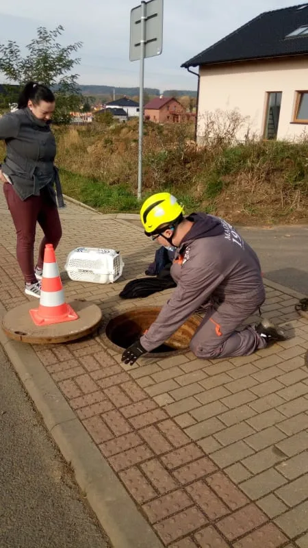 Záchrana koťat uvězněných v kanálu trvala deset hodin