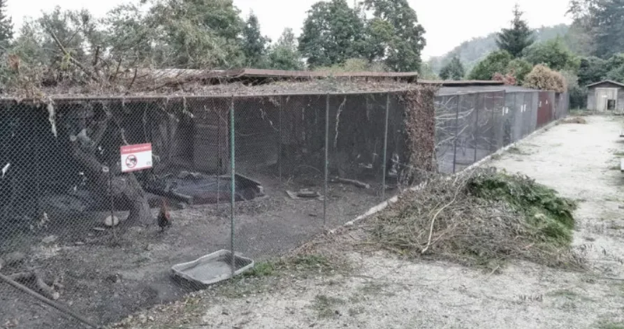 Ilustrační foto.