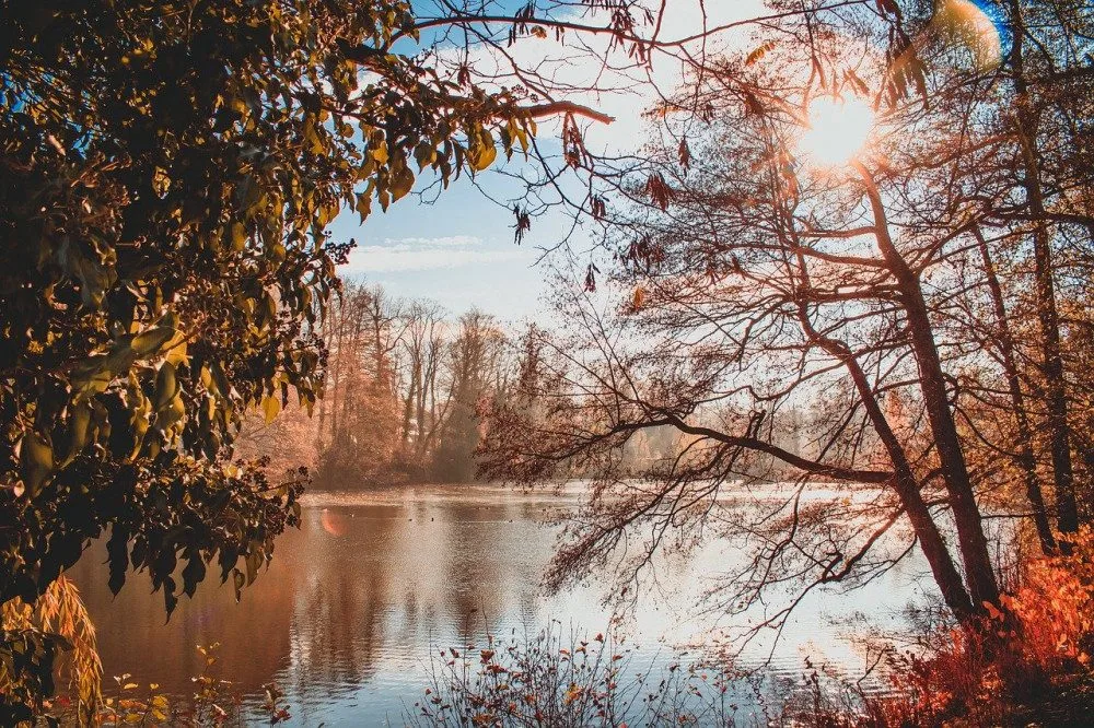 Ilustrační foto.