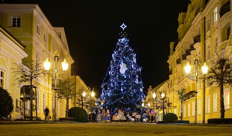 Vánoční-strom-Františkovy-Lázně-1
