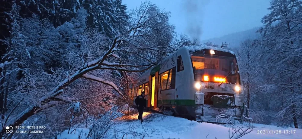 Pod těžkým sněhem se lámou stromy, komplikují dopravu i dodávky elektřiny