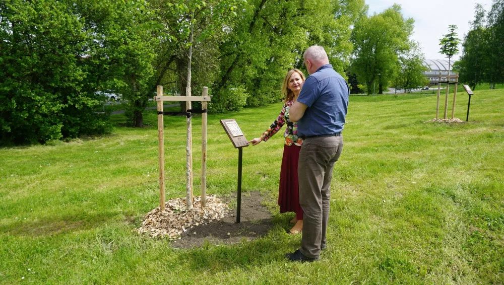 V Sokolově na sídlišti Vítězná vznikl městský park Stromokruh 2020